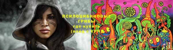 трава Алексин